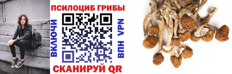 Псилоцибиновые грибы ЛСД  даркнет формула  Раменское 